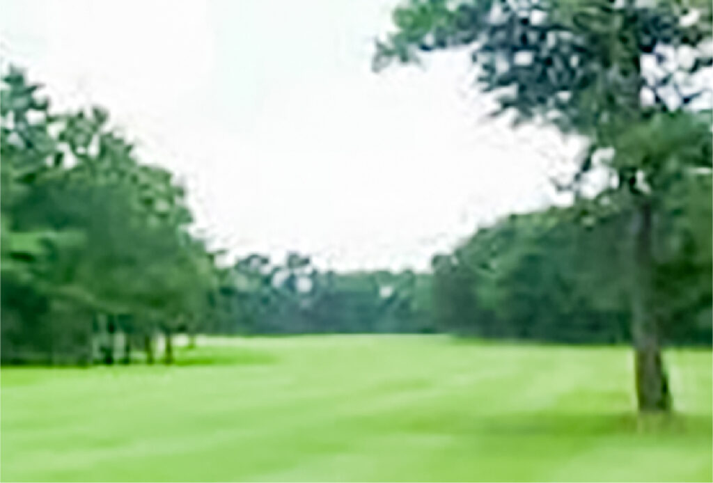 1番ホールフェアウェイから見たグリーン方向とピンポジション