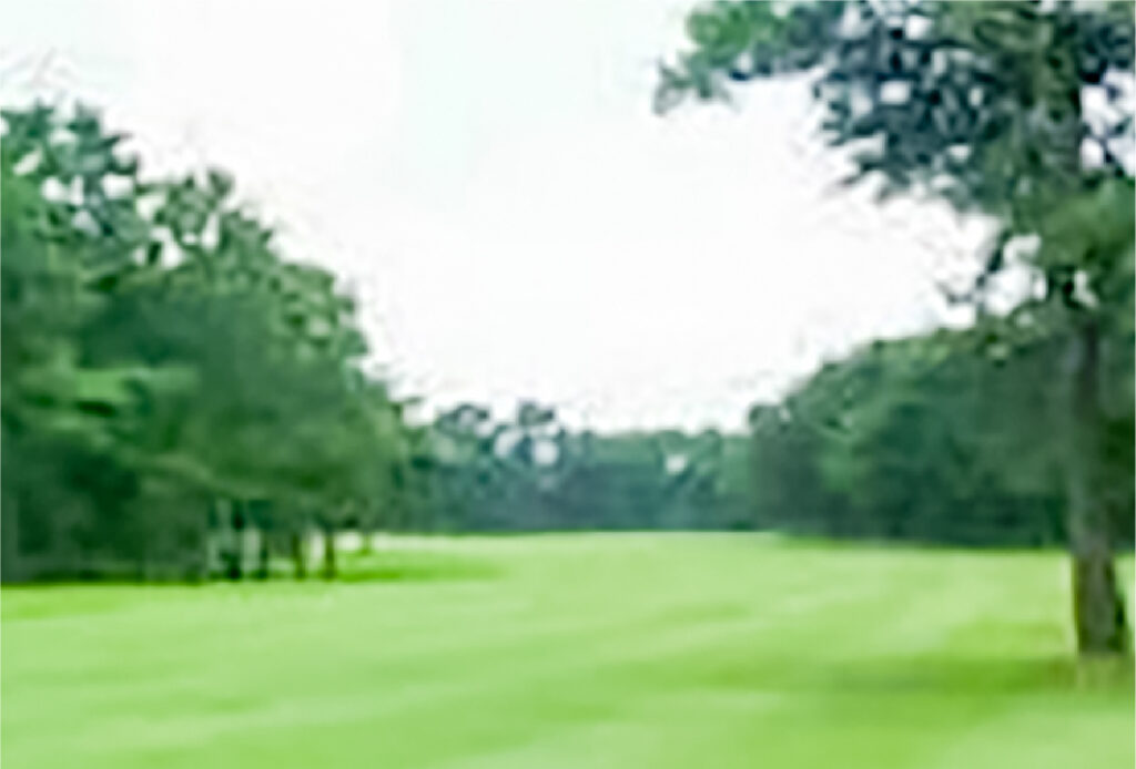 1番ホールグリーン周辺のバンカーと池が作り出す戦略的レイアウト