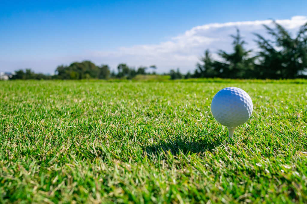 夏の暑さから解放された9月の芝生コンディション最良期のフェアウェイ